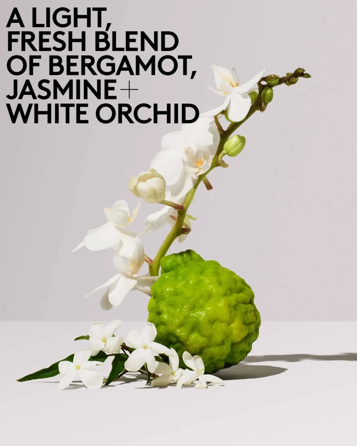 Butta Drop Whipped Oil Body Cream with Tropical Oils + Shea Butter